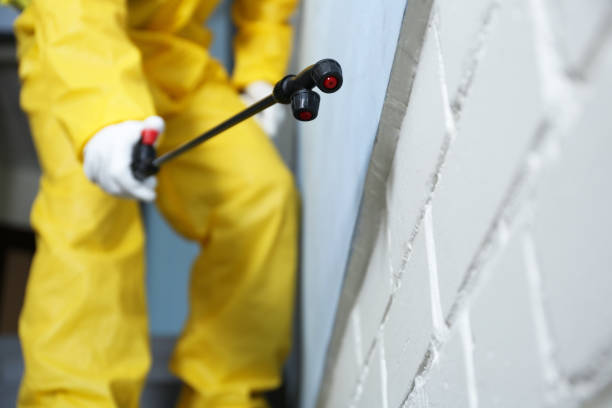 Best Fumigation Services  in Richland Hills, TX